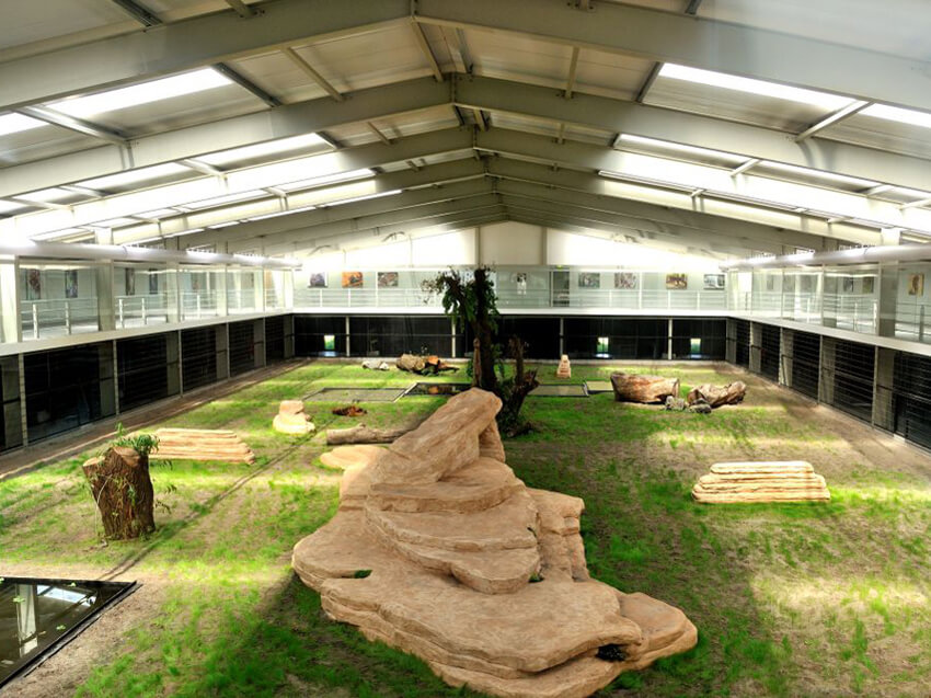 Leeuwenverblijf Landgoed Hoenderdaal